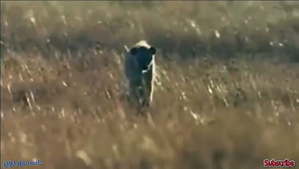 구로출장서비스 구로출장서비스O1OE2541E2560｛카톡YTN9｝ 구로출장마사지샵 구로출장안마on구로출장안마cos여3♪⇔∃마사지황형♥∌≪