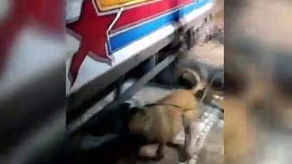 Uyuşturucu operasyonlarında 4 kişi tutuklandı - ŞANLIURFA