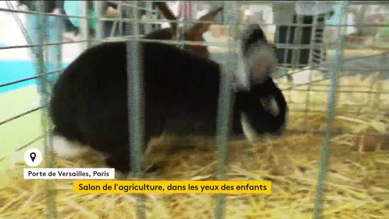 Le Salon de l'agriculture chouchoute les enfants