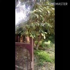 1857 First  Revolution  in meerut