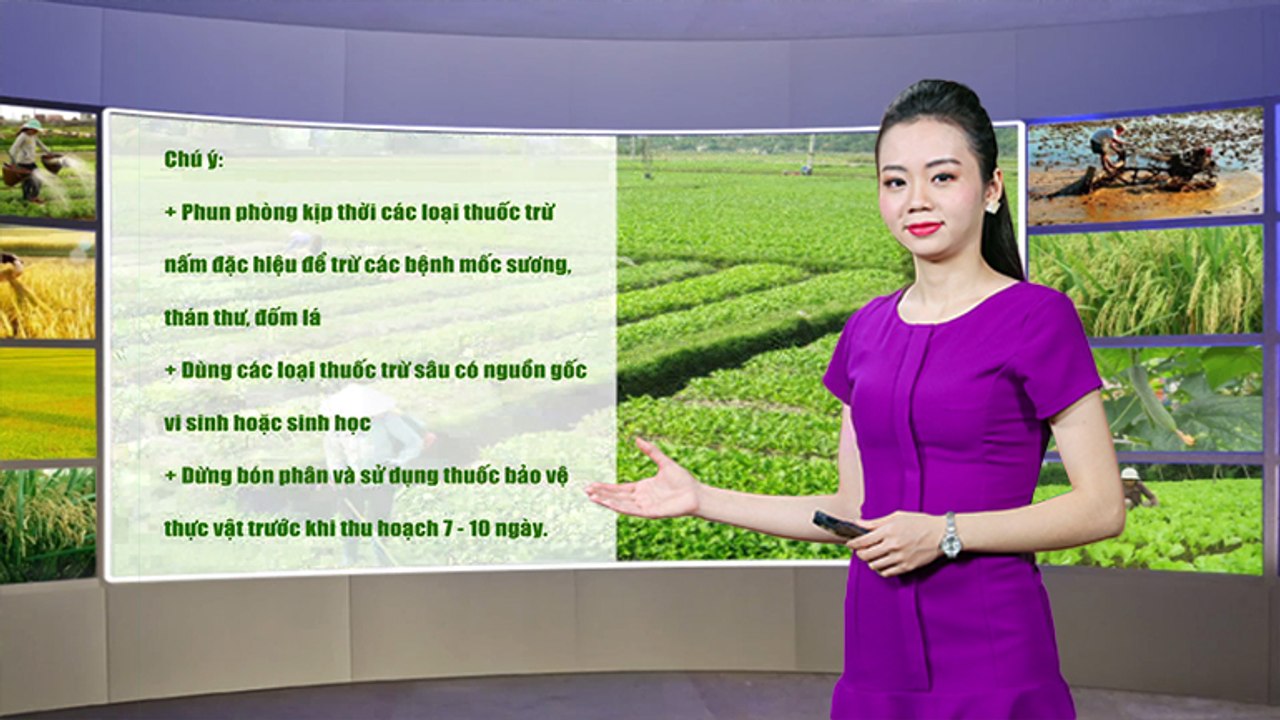 Thời tiết nông vụ -24/02/2020