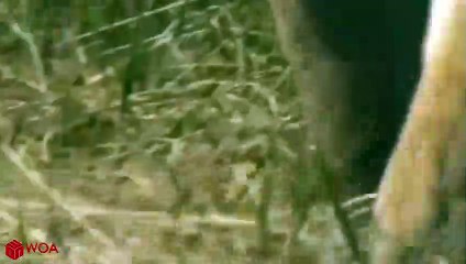 고흥출장서비스 고흥출장서비스O1OE6683E6402｛카톡GOO56｝ 고흥출장마사지샵 고흥출장안마on고흥출장안마cos여3♪⇔∃마사지황형♥◥≪