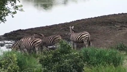 장유추천업소【OI0↔29O8↔68O③】장유추천업소예약♥⊀≪