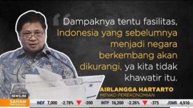 Menko Perekonomian Tidak Takut Dikeluarkan dari Negara Berkembang