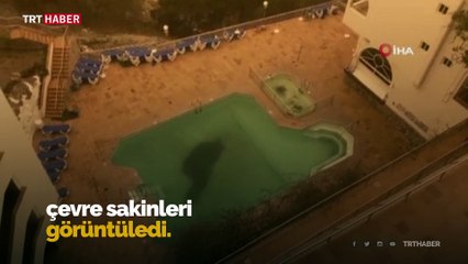 Kanarya Adaları’nda kum fırtınası gökyüzünü turuncuya bürüdü