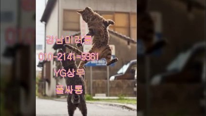 풀싸롱【O1O↔②14①↔⑤361】선릉풀싸롱↔YG상무ω강남미러룸∇역삼풀싸롱Γ강남미러Σ강남야구장Ω강남풀싸롱Δ서울룸싸롱Θ강남룸