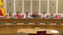 Comisión de Igualdad en el Congreso de los Diputados