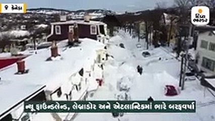 ट्रम्प की हाई टी के मेनू में दिखे ब्रोकली समोसा का उड़ा मजाक, फिल्ममेकर हंसल मेहता ने लिखा- यह असंवैधानिक है