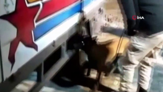 Uyuşturucu satıcılarına büyük darbe: 241 kilogram esrar ele geçirildi