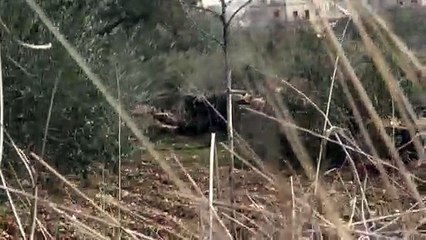 İdlib'de 18 sivil yerleşim Rus bombardımanı altında