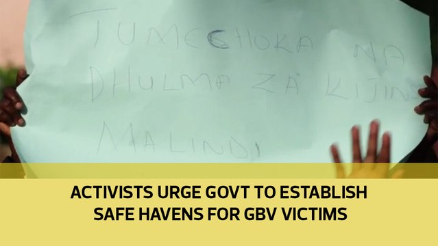Activists urge government to establish safe havens for GBV victims