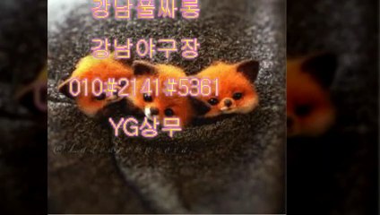 미러룸풀싸롱【O1O↔②14①↔⑤361】강남풀싸롱⇔강남야구장∞선릉풀싸롱↔YG상무∀강남미러룸¿강남추천업소Δ강남룸∑풀싸롱∈서초풀싸롱