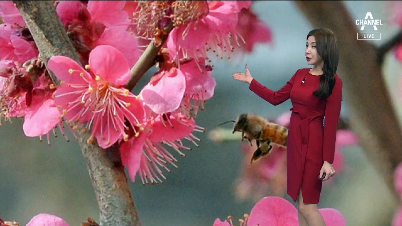 [날씨]내일까지 전국 ‘비’…강원산지 최고 40cm ‘눈’