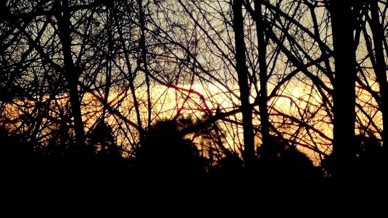 Jan 10 2020 DL3