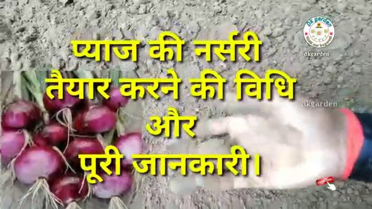 Onion_seed_growing__%E0%A4%AA%E0%A5%8D%E0%A4%AF%E0%A4%BE%E0%A4%9C%E0%A4%BC_%E0%A4%95%E0%A5%80_%E0%A4%A8%E0%A4%B0%E0%A5%8D%E0%A4%B8%E0%A4%B0%E0%A5%80_%E0%A4%A4%E0%A5%88%E0%A4%AF%E0%A4%BE%E0%A4%B0_%E0%A4%95%E0%A4%B0%E0%A4%A8%E(360p)