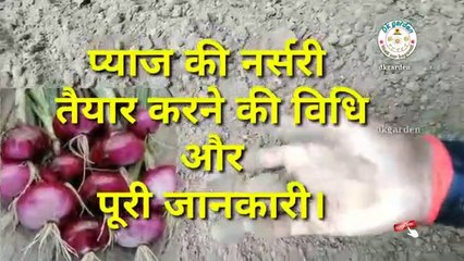 Onion_seed_growing__%E0%A4%AA%E0%A5%8D%E0%A4%AF%E0%A4%BE%E0%A4%9C%E0%A4%BC_%E0%A4%95%E0%A5%80_%E0%A4%A8%E0%A4%B0%E0%A5%8D%E0%A4%B8%E0%A4%B0%E0%A5%80_%E0%A4%A4%E0%A5%88%E0%A4%AF%E0%A4%BE%E0%A4%B0_%E0%A4%95%E0%A4%B0%E0%A4%A8%E(360p)