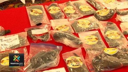 tn7-fundacion-encargada-de-poner-sonrisas-240220