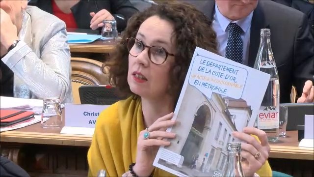 Sandrine HILY. Discussion générale. Session du 24 février 2020