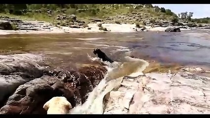 단원출장서비스 단원출장서비스O1OE2541E2560｛카톡KGB8｝ 단원출장마사지샵 단원출장안마on단원출장안마cos여3♪⇔∃마사지황형♥≴≪