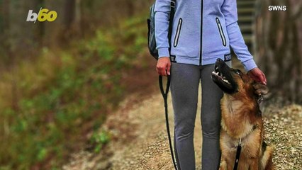 Pet Pals! Dog and Ferret Pair Are Inseparable and Do Everything Together!