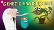 GENETIC ENGINEERING | What Is GENETIC Engineering? | Genetics | The Dr Binocs Show | Peekaboo Kidz