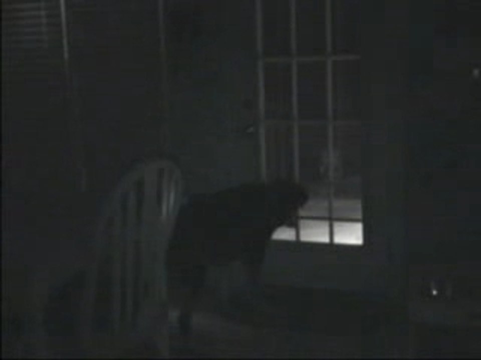 Ghost caught by dog real must see