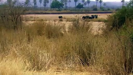 아산출장서비스 아산출장서비스O1Og2118g2518｛카톡KFC49｝ 아산출장마사지샵 아산출장안마on아산출장안마cos여3♪⇔∃마사지황형♥≓≪