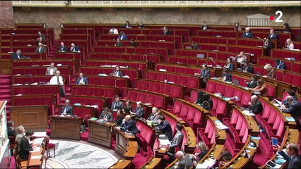 Réforme des retraites : comment fonctionne le 49.3 ?