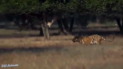 구로출장서비스 구로출장서비스O1Og2118g2518｛카톡KTX53｝ 구로출장마사지샵 구로출장안마on구로출장안마cos여3♪⇔∃마사지황형♥⊀≪