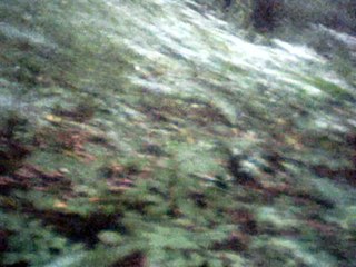 home on the range vocals