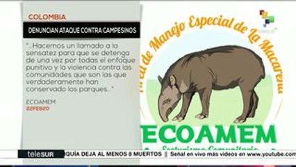 Organización civil colombiana denuncia violación de DDHH de campesinos