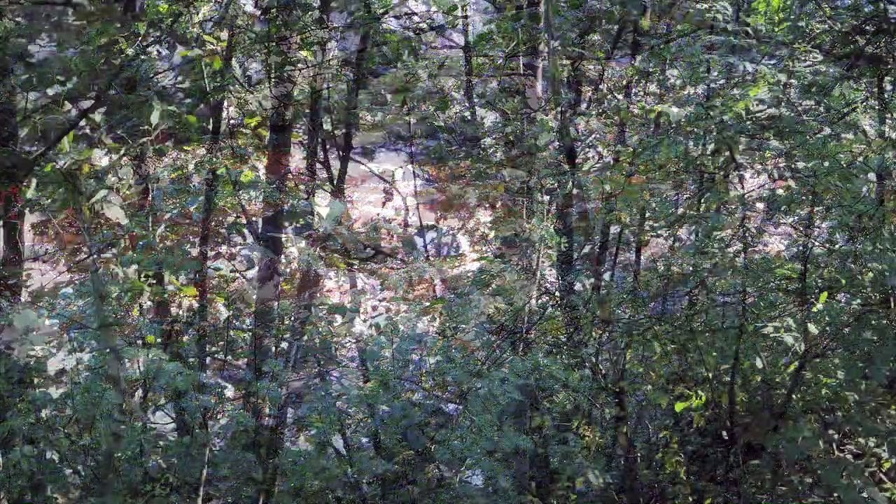 Fast Trip - North England 2016 /Full Film/Complete Movie/Ganzer Film