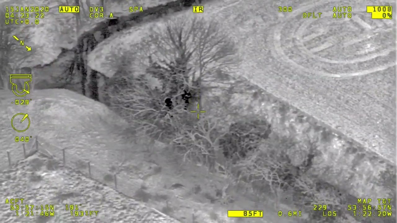 This dramatic police helicopter footage shows the moment cops arrested a gang of bungling burglars - after they tried to hide up a TREE