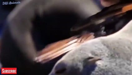 홍천출장서비스 홍천출장서비스O1OE2104E4640｛카톡YOK88｝ 홍천출장마사지샵 홍천출장안마on홍천출장안마cos여3♪⇔∃마사지황형♥◞≪