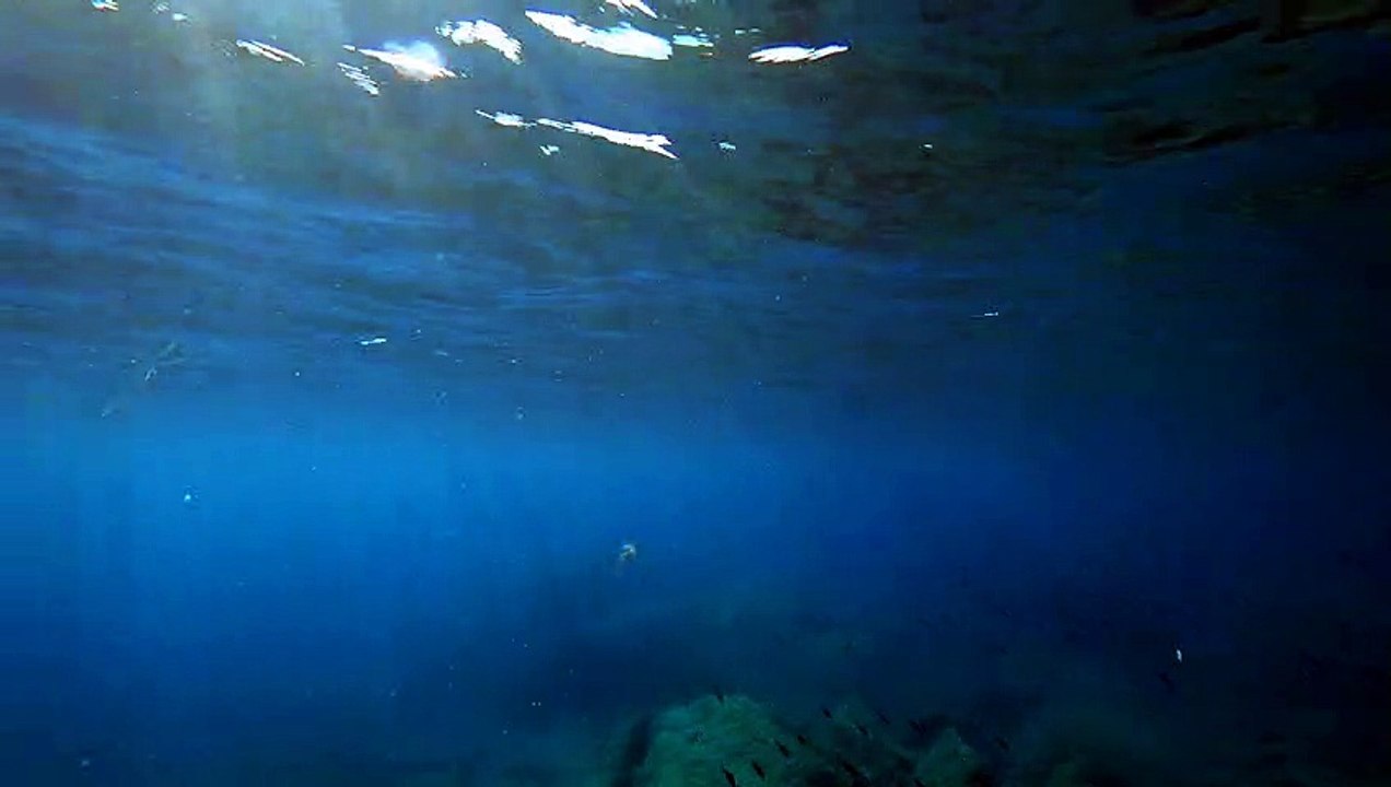 Méduse et boules transparentes en Méditerranée