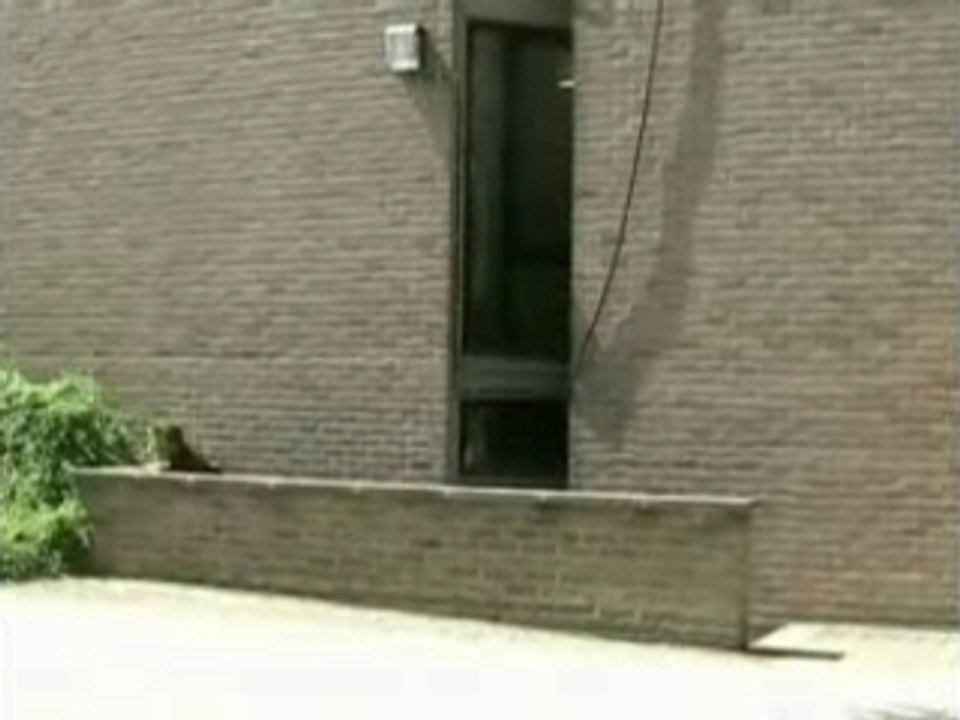 Speeders-parkour