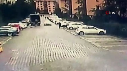 Sarıyer'de vicdansız sürücünün köpeğe çarpıp kaçtığı anlar kamerada