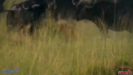 광주출장서비스 광주출장서비스O1OE6579E3382｛카톡COM23｝ 광주출장마사지샵 광주출장안마on광주출장안마cos여3♪⇔∃마사지황형♥≇≪