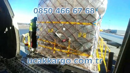 İzmir Uçak Kargo - 0850 466 67 68