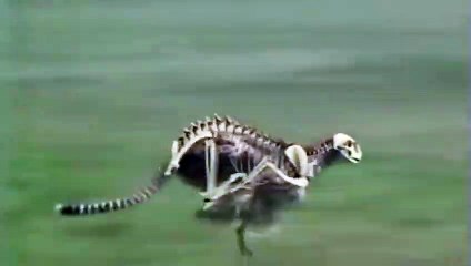 은평출장서비스 은평출장서비스O1OE9914E7203｛카톡DDD22｝ 은평출장마사지샵 은평출장안마on은평출장안마cos여3♪⇔∃마사지황형♥∶≪