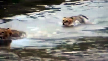 강동출장서비스 강동출장서비스O1Og4832g2166｛카톡QQ565｝ 강동출장마사지샵 강동출장안마on강동출장안마cos여3♪⇔∃마사지황형♥≤≪