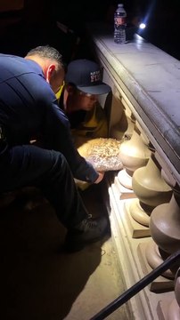 Le sauvetage délicat d'un chien coincé entre les colonnes d'une balustrade