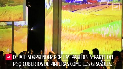 Ya está aquí Van Gogh Alive