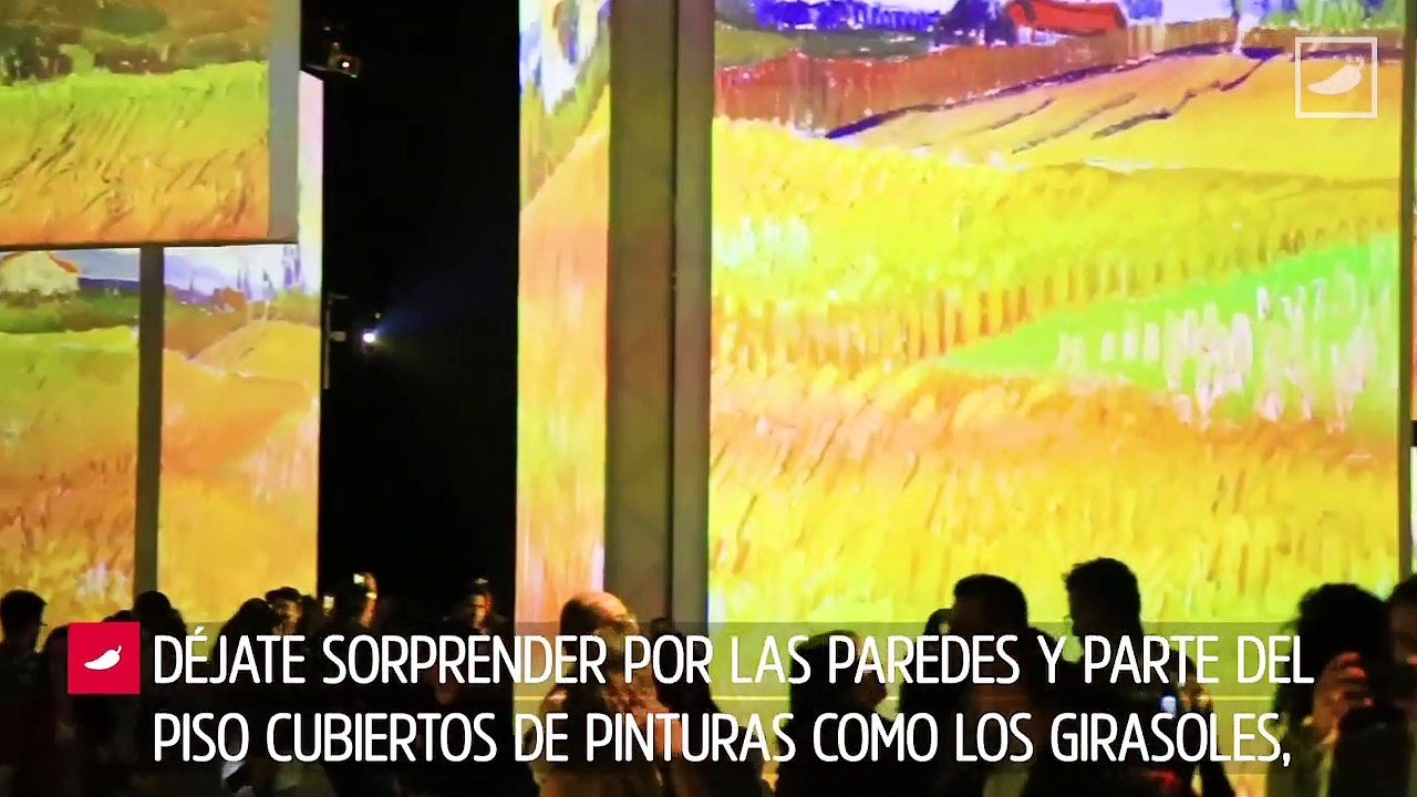 Ya está aquí Van Gogh Alive