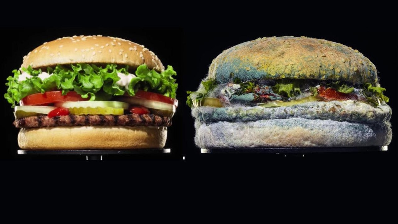Burger King’s New Ad Campaign Features a Moldy Whopper, and We Can't Look Away