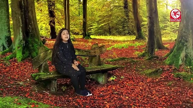 صباح الخير - جنى مقداد _ طيور بيبي Toyor Baby