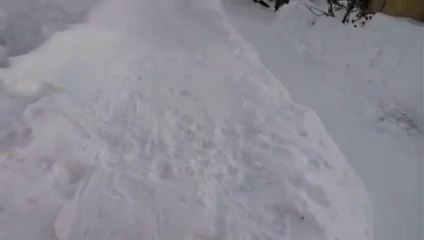 What a miracle! I would like it too!..  Какое чудо! Я бы тоже так хотел.