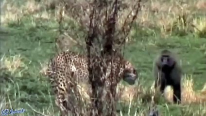 포항출장서비스 포항출장서비스O1Og2118g2518｛카톡KFC49｝ 포항출장마사지샵 포항출장안마on포항출장안마cos여3♪⇔∃마사지황형♥≆≪