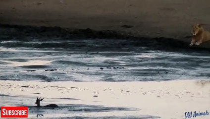 거제출장서비스 거제출장서비스O1Og2143g9131｛카톡KOM88｝ 거제출장마사지샵 거제출장안마on거제출장안마cos여3♪⇔∃마사지황형♥≒≪