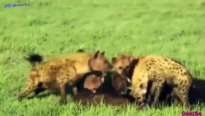 서원출장서비스 서원출장서비스O1Og2154g6609｛카톡VPN58｝ 서원출장마사지샵 서원출장안마on서원출장안마cos여3♪⇔∃마사지황형♥⊔≪